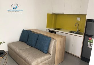 Serviced_apartment_on_Vo_Van_Tan_street_in_district_3_ID_531_202_part_1