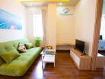 Serviced apartment on Dang Dung street in district 1 with 2 bedrooms ID 201 part 7