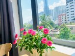 Serviced apartment on Ung Van Khiem street in Binh Thanh district with studio ID 583 part 2