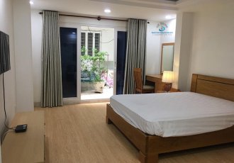 Serviced apartment for rent on Nguyen Thai Binh street in district 1 ID 106 part 1