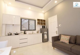 Serviced apartment on Pham The Hien street in district 8 with 1 bedroom and small window ID 55 part 1