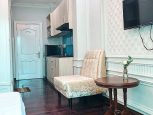 Serviced apartment on Nguyen Thai Binh street in District 1 ID D1/30.202 part 2