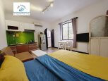 Serviced apartment on Nguyen Dinh Chieu street in District 3 with studio ID D3/9.2 part 1